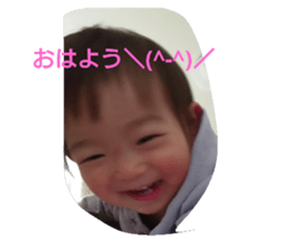 56063068