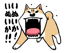 5607092