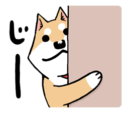 5607094