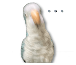 560769915