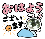 560784915