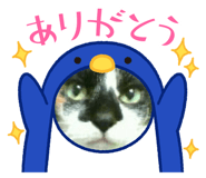 560784917