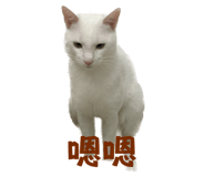 560825622