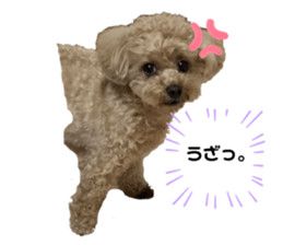 560924358
