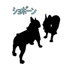 5609306