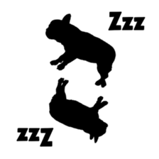 5609310