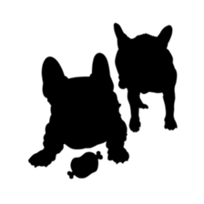 5609311