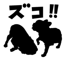5609312