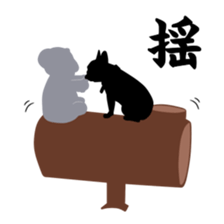 5609317
