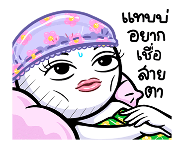 ลายที่ 23