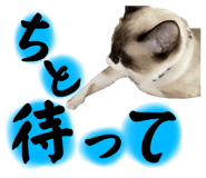 560983807