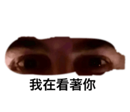 561120679