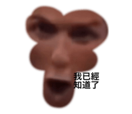 561120684