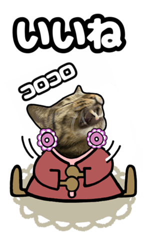 561157829