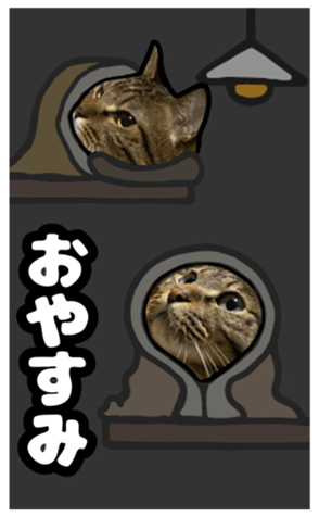 561157833