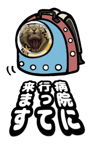 561157843