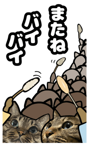 561157845
