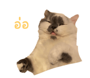 561228202