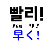 561228244