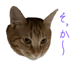 561267966