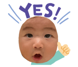 561268081