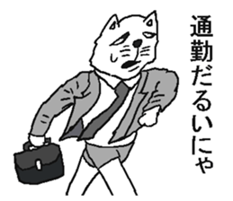 5612767