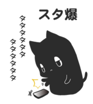 56131078