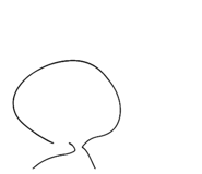 561328445