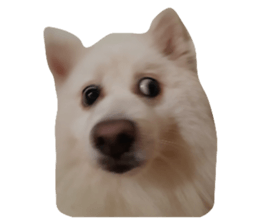 561344468