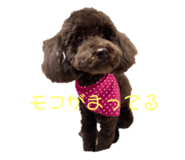 561424943