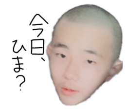 561446283