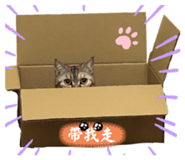 561459467