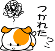 561470242
