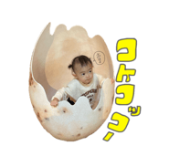 561484494