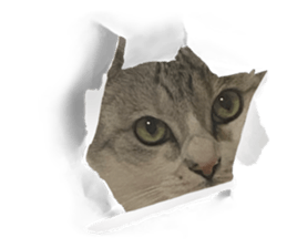 561503581
