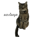 561534598