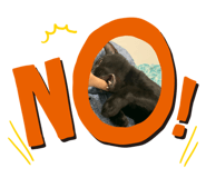 561534610