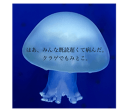 561559431