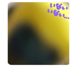 561580804