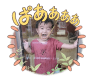 561653499