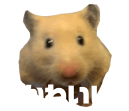 561662582