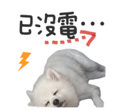 561816063