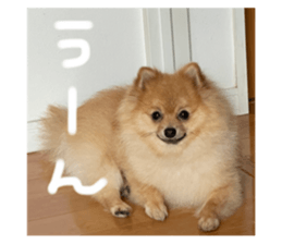 561856074