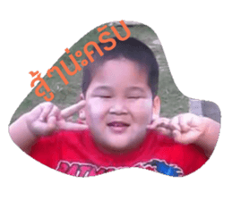 56188369