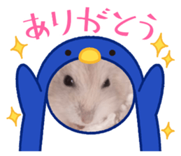 561993213