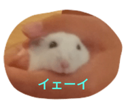 561995456