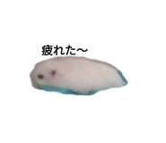 561995457
