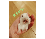 561995466