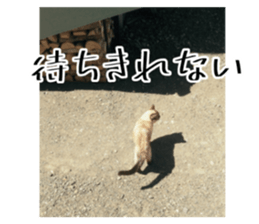 562056904