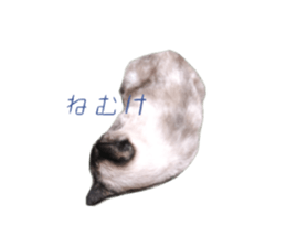 562056916